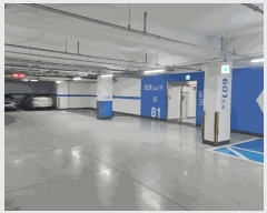  2025Ÿ��62471  ����Ʈ���