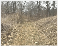  2025Ÿ��62660 ��� ���ֽ� ź���� ������ 631-1      ����(��1)���