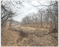  2025Ÿ��62660 ��� ���ֽ� ź���� ������ 631-1      ����(��1)���