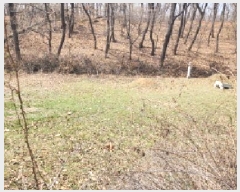  2025Ÿ��62660 ��� ���ֽ� ź���� ������ 631-1      ����(��1)���