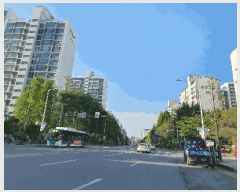  2025Ÿ62887   籸 ȭ 870 Ʈ 521 161602ȣ   Ʈ