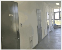  2025Ÿ��63064  ���ǽ��ڰ��