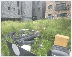  2025Ÿ��63548 ��� ����� ���籸 �⵿�� 492-2      ����(����)���