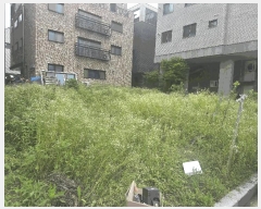  2025Ÿ��63548 ��� ����� ���籸 �⵿�� 492-2      ����(����)���