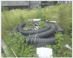  2025Ÿ��63548 ��� ����� ���籸 �⵿�� 492-2      ����(����)���