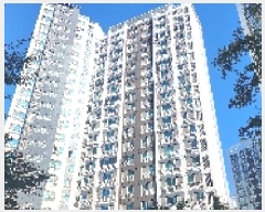  2025Ÿ��63966  ����Ʈ���