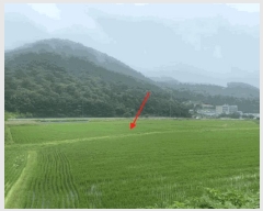  2025Ÿ��2947 ��� ���ֽ� ������ ���㸮 109-16      ����(��)���