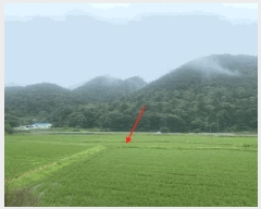  2025Ÿ��2947 ��� ���ֽ� ������ ���㸮 109-16      ����(��)���