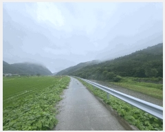  2025Ÿ��2947 ��� ���ֽ� ������ ���㸮 109-16      ����(��)���