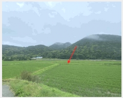  2025Ÿ��2947 ��� ���ֽ� ������ ���㸮 109-16      ����(��)���