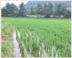  2025Ÿ��2947 ��� ���ֽ� ������ ���㸮 109-16      ����(��)���