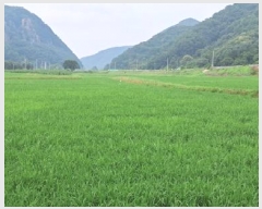  2025Ÿ��2947 ��� ���ֽ� ������ ���㸮 109-16      ����(��)���