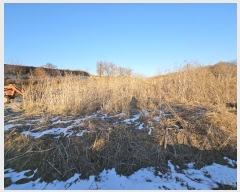  2025Ÿ60400  ֽ  帮 207-3      (1)