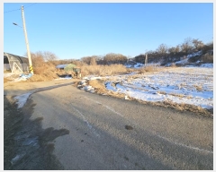  2025Ÿ60400  ֽ  帮 207-3      (1)