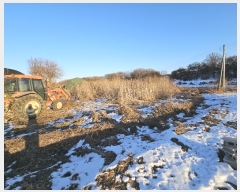  2025Ÿ60400  ֽ  帮 207-3      (1)