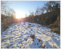  2025Ÿ60400  ֽ  帮 207-3      (1)