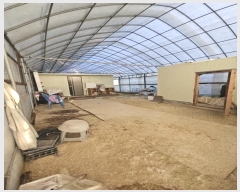  2025Ÿ60400  ֽ  帮 207-3      (1)