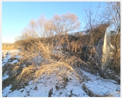  2025Ÿ60400  ֽ  帮 207-3      (1)