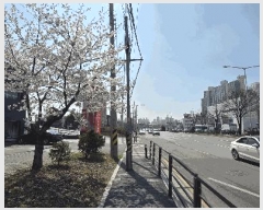  2025Ÿ��62708  �ٸ��󰡰��