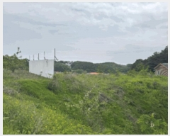  2025Ÿ��63043  ����