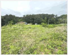  2025Ÿ��63043  ����