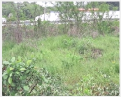  2025Ÿ��63043  ����