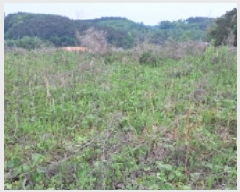  2025Ÿ��63043  ����