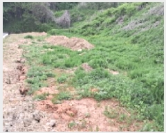  2025Ÿ��63043  ����