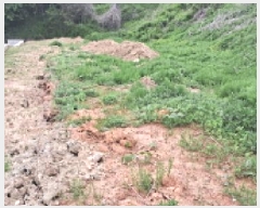  2025Ÿ��63043  ����