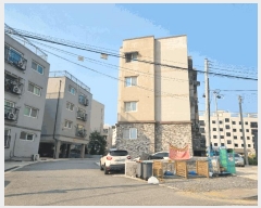  2025Ÿ63213  ֽ   255 þ 101 1101ȣ   ټ,