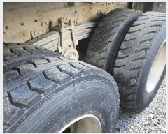  2025Ÿ��63941 ���ֽ� ������ �ɾȸ� 239       �������