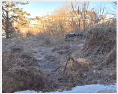  2025Ÿ��57 ��� ����� �ϻ굿�� ������ 1061-83      ����(�Ӿ�)���