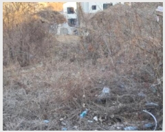  2025Ÿ��57 ��� ����� �ϻ굿�� ������ 1061-83      ����(�Ӿ�)���