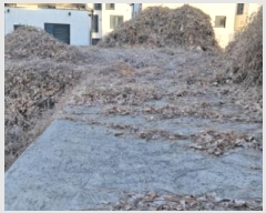  2025Ÿ��57 ��� ����� �ϻ굿�� ������ 1061-83      ����(�Ӿ�)���