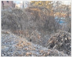  2025Ÿ��57 ��� ����� �ϻ굿�� ������ 1061-83      ����(�Ӿ�)���