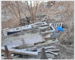  2025Ÿ��57 ��� ����� �ϻ굿�� ������ 1061-83      ����(�Ӿ�)���