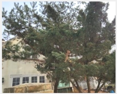  2025Ÿ101  ֽ ź ︮ 1696-4      ð