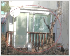  2025Ÿ101  ֽ ź ︮ 1696-4      ð