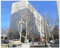  2025Ÿ682   籸 絿 731 ſ縶Ʈ 604 3302ȣ   Ʈ