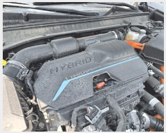  2025Ÿ2671  ֽ  ɾȸ 239      