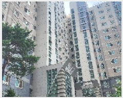  2025Ÿ��3261  ����Ʈ���