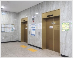  2025Ÿ3629   籸 ﵿ 702 ʵĻ(ʵ) 5501ȣ    Ʈ