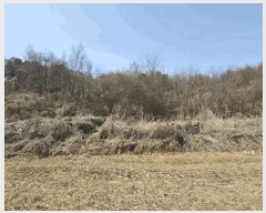  2025Ÿ��62499 ��� ���ֽ� ������ ������ ��89-1      ����(�Ӿ�)���