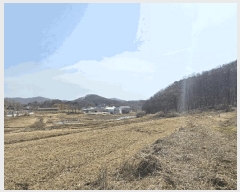  2025Ÿ��62499 ��� ���ֽ� ������ ������ ��89-1      ����(�Ӿ�)���