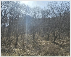  2025Ÿ��62499 ��� ���ֽ� ������ ������ ��89-1      ����(�Ӿ�)���