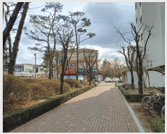  2025Ÿ��62632  ����Ʈ���