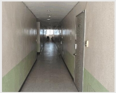  2025Ÿ62720  ֽ ̵ 942-5 ǽ 2203ȣ     ǽڰ