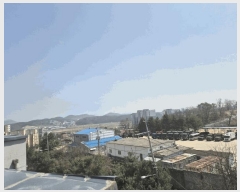  2025Ÿ62764  ֽ  ָ 520-6 2 5501ȣ    ټ,