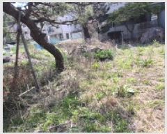  2025Ÿ��62868 ��� ����� ���籸 ���굿 53-55      ����(����)���