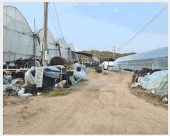  2025Ÿ��62892 ��� ����� ���籸 ���ڵ� 129-3      ����(��)���